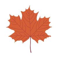 Bright autumn leaf. Flat style. Vector design