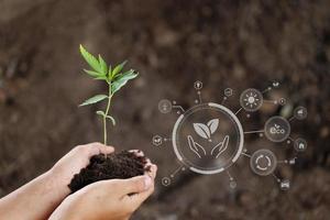 Technology, hand holding  a tree with environment Icons over the Network connection on a fertile soil background. photo