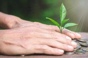 proteja a mano la pila de dinero con plantas que crecen en monedas. ahorrar dinero monedas, manos que están cuidando árboles en monedas, finanzas conceptuales foto