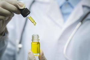 Doctor checking and analizing with a dropplet a biological and ecological hemp plant used for herbal pharmaceutical cbd oil in a laboratory. photo