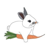 2023 year of the rabbit. Cute rabbit with a carrot. Symbol of the Chinese New Year. Vector illustration isolated on white background