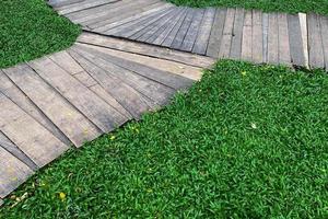 Top view wooden junction walkway grass  field background texture, shot from above. abstract background. photo