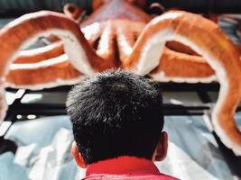Rear view of a boy facing upwards toward the red octopus at a seafood restaurant photo