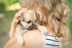 pequeño cachorro sentado en el hombro foto