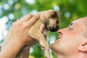 feliz joven tocando la nariz del cachorro foto