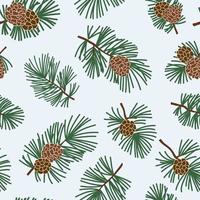 Seamless winter floral pattern with evergreen cone and coniferous plant branch. Christmas texture.  Winter forest background. vector