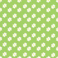 Chamomile floral seamless pattern on green background vector