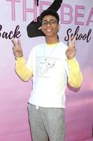 LOS ANGELES - MAR 8 - Bryce Xavier at the To the Beat Back 2 School World Premiere Arrivals at the Laemmle NoHo 7 on March 8, 2020 in North Hollywood, CA photo