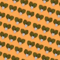 Tropical palm monstera leaves lies in a pastel pails on a colored background. Flat lay trendy minimal pattern. Top view photo