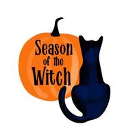 Black cat with pumpkin illustration with text Season of the Witch isolated on white background vector