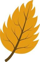 Vector illustration of an autumn leaf isolated on a white background. The icon of the autumn leaf. Design with leaves for spring and autumn banner, prints, wallpaper, fabric and wallpaper.