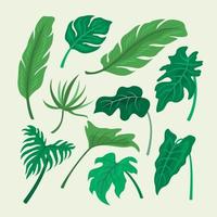 Hand Drawn Tropical Leaves Set vector