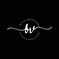 Initial BV handwriting logo template vector