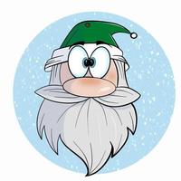 Santa with the green hat vector
