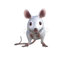 souris blanche rendu 3d png