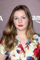 LOS ANGELES - NOV 6 - Amber Tamblyn at the Hollywood Reporter s Next Gen 20th Anniversary Gala at Hammer Museum on November 6, 2013 in Westwood, CA photo