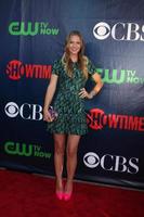 LOS ANGELES - JUL 17 - A.J. Cook at the CBS TCA July 2014 Party at the Pacific Design Center on July 17, 2014 in West Hollywood, CA photo