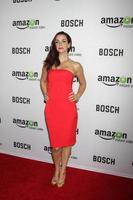 LOS ANGELES - FEB 3 - Annie Wersching at the Bosch Amazon Red Carpet Premiere Screening at a ArcLight Hollywood Theaters on February 3, 2015 in Los Angeles, CA photo