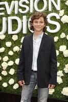 LOS ANGELES - AUG 1 Montana Jordan at the CBS TV Studios Summer Soiree TCA Party 2017 at the CBS Studio Center on August 1, 2017 in Studio City, CA photo