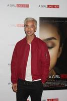 LOS ANGELES - MAR 27 - Jared Eng at the A Girl Like Her Screening at the ArcLight Hollywood Theaters on March 27, 2015 in Los Angeles, CA photo