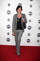 LOS ANGELES - JAN 10 - Allison Janney arrives at the Disney ABC Television Group s TCA Winter 2011 Press Tour Party at Langham Huntington Hotel on January 10, 2011 in Pasadena, CA photo