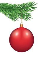 red Christmas tree ball hanging on a green spruce branch. On a transparent background. Template for text, design element, copy space, postcard, social media, cover design. New Year and Christmas vector