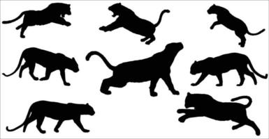 The set of Tiger silhouette collection vector