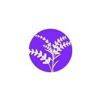 Lavender flower Vector icon illustration