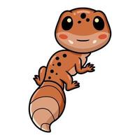 lindo personaje de dibujos animados de gecko leopardo vector