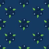 Blueberry Fruit seamless pattern background vector