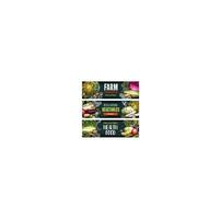 Vector fresh organic vegetables sketch banners