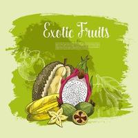 cartel vectorial de frutas exóticas durian o carambola vector