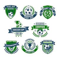 Vector football isolated icons for sport bar