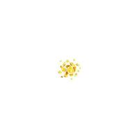 Vector golden coins splash splatter icon