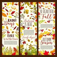 conjunto de banners vectoriales estacionales de otoño o otoño vector