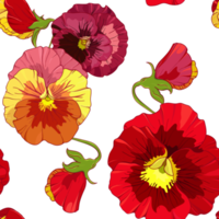 leuchtend rote und orange Blüten von Stiefmütterchen. Nahtloses Vektormuster. handzeichnungsillustration. png