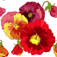 helder rood en oranje bloemen van viooltje . naadloos patroon. hand- tekening illustratie. png