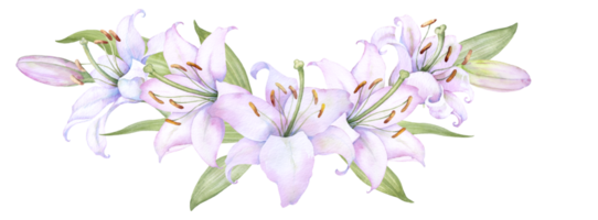 Bouquet white lilies, pink lilies, flowers and buds watercolor flower arrangement png