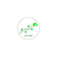 green leaf icon image illustration vector design natural