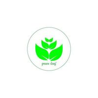 green leaf icon image illustration vector design natural