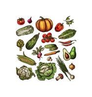 verduras, bosquejo, vector, aislado, iconos vector