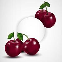 Bright berries ripe cherry with leaves isolated on white. Vector illustration.