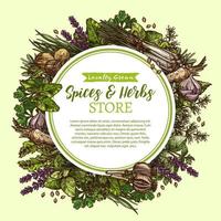 Vector sketch poster for spices and herbs store