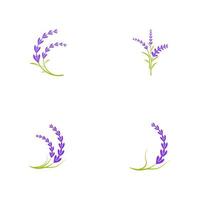 Lavender flower Vector icon illustration