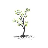 Tree branch vector ilustration design