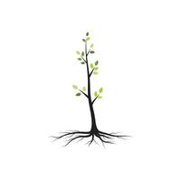 Tree branch vector ilustration design