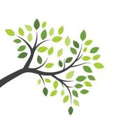 Tree branch vector ilustration design