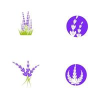 ilustración de icono de vector de flor de lavanda