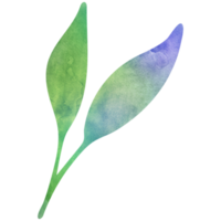 Watercolor simple green leaf. Transparent PNG clipart for design