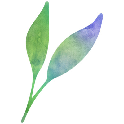 Leaf Clipart Png Free Images With Transparent Background 2 059 Free Leaf Clipart Png Free Images With Transparent Background 2 059 Free